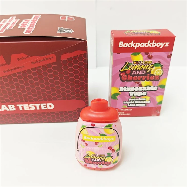 backpack boys disposable