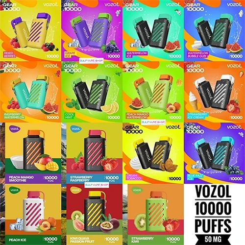 VOZOL 10000 PUFFS