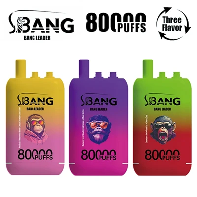 Bang Leader 80000 puffs engångs
